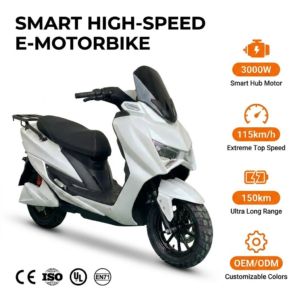3000W Electric Motorcycle for Adults | EEC Certified Street Legal E-Motorcycle
