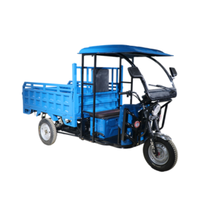 QSD Electric Cargo Rickshaw Loader, High Quality Open Type Roof Electric 3-Wheeler, Powerful Cargo Transport Vehicle